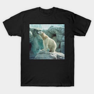 polar bear T-Shirt